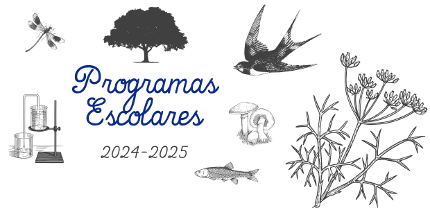 Programas Escolares 2024-25